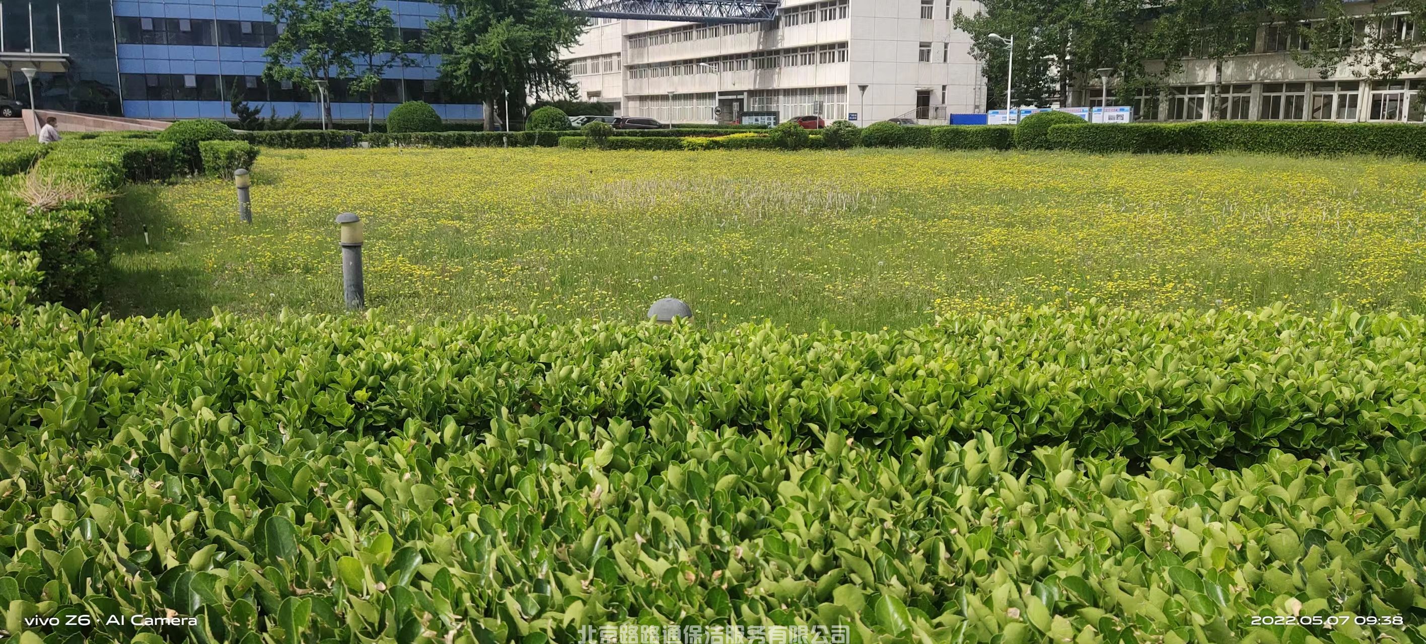綠化(圖4)
