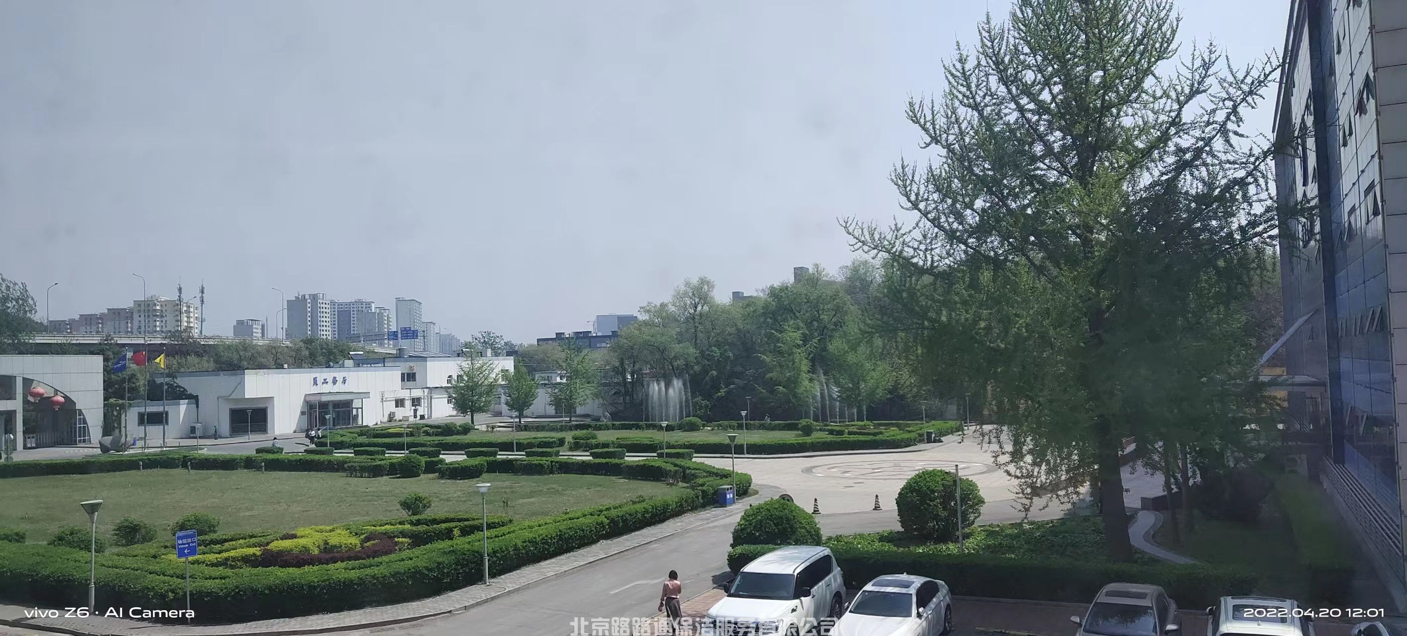 綠化(圖6)